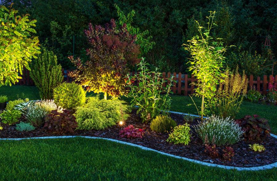 Trusted Landscaping Contractor